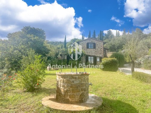 Отдельно стоящий дом в Паникале