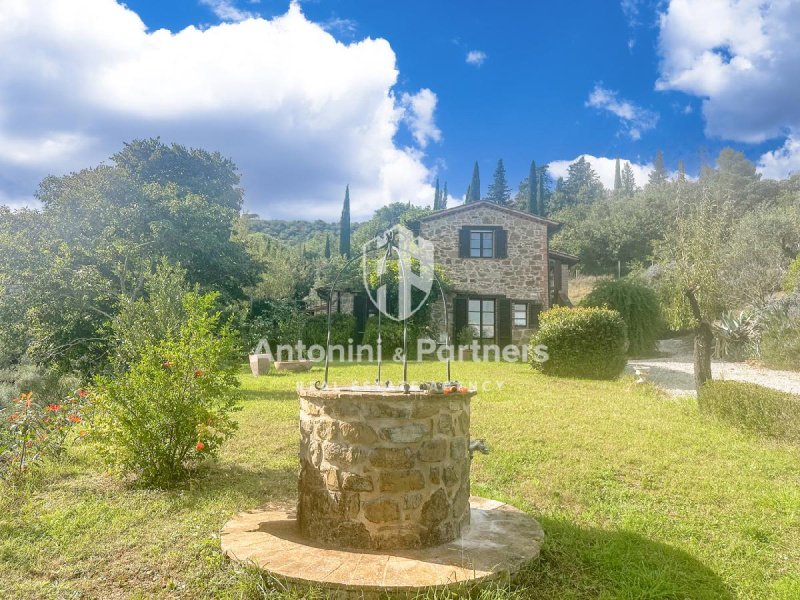 Отдельно стоящий дом в Паникале