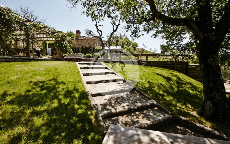 Azienda agricola a Terranuova Bracciolini