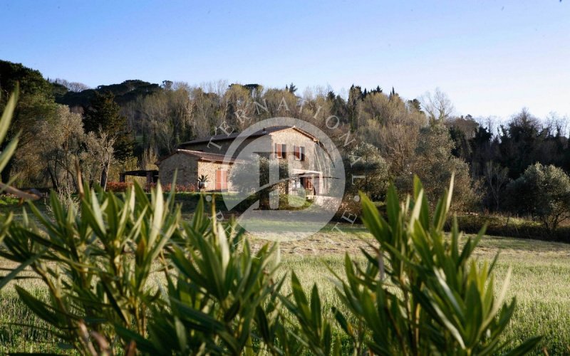 Farmhouse in Castelnuovo di Val di Cecina