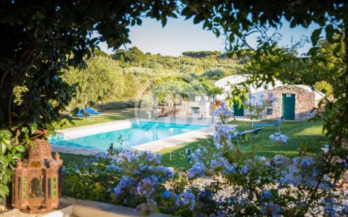 Moradia em Ostuni