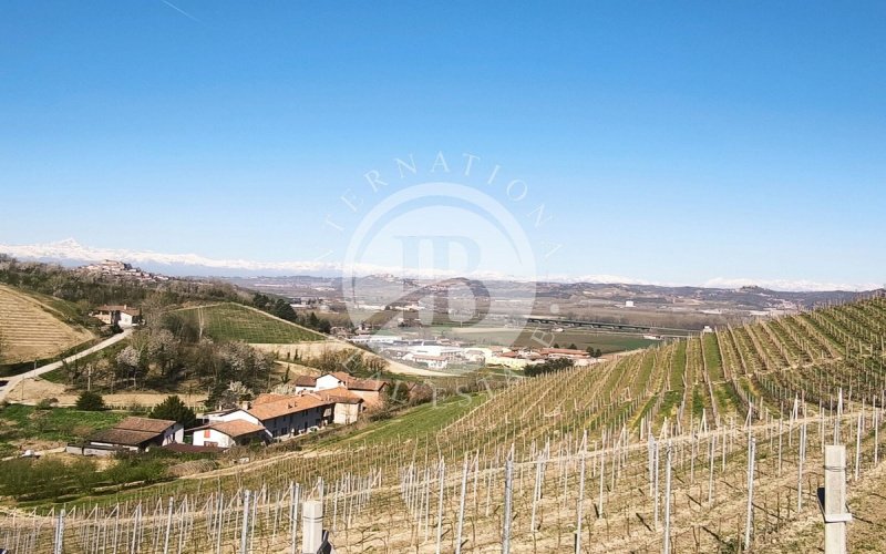Land in Alba