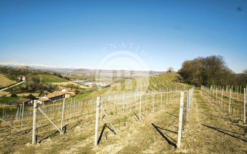 Land in Alba