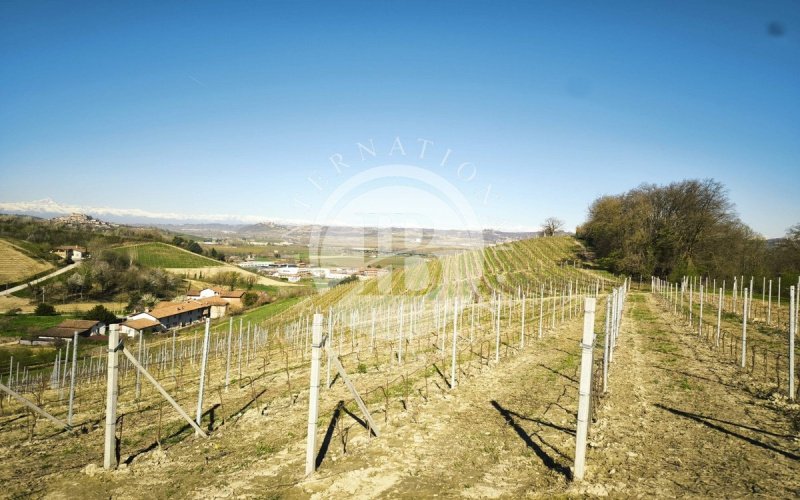 Land in Alba