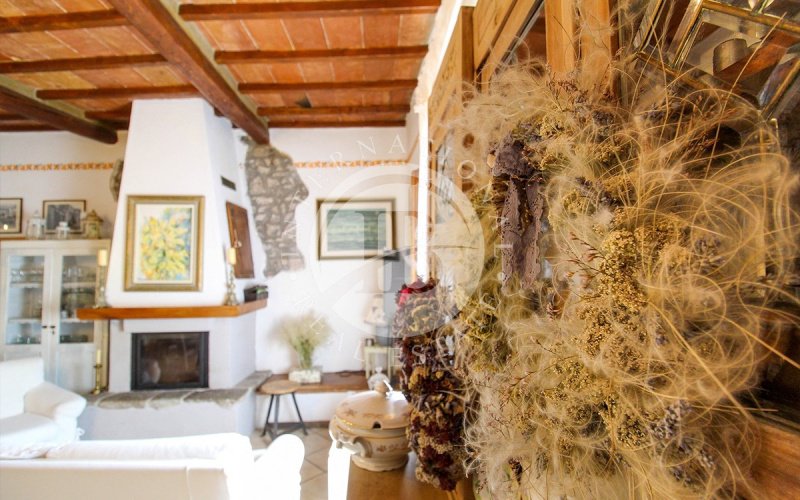 Onafhankelijk appartement in Castellina Marittima