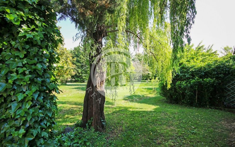 Villa in Parma