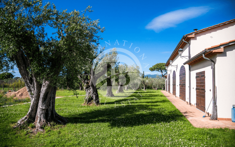 Boerenbedrijf in Castagneto Carducci