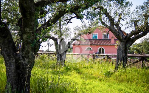 Boerenbedrijf in Castagneto Carducci