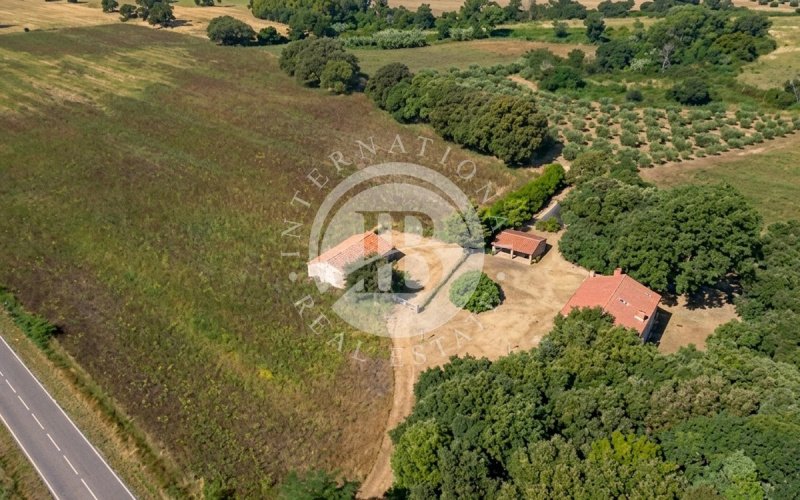 Ferme à Roccastrada