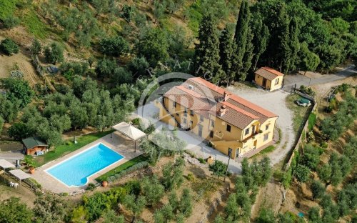 Bondgård i Monsummano Terme