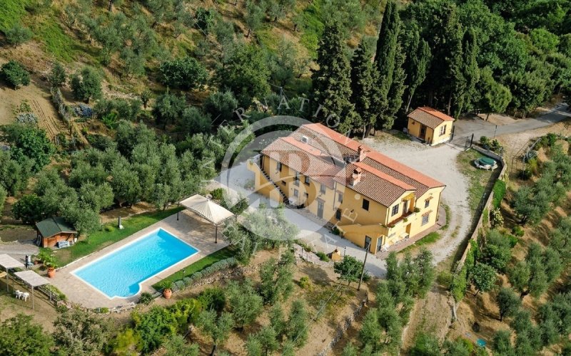 Bondgård i Monsummano Terme