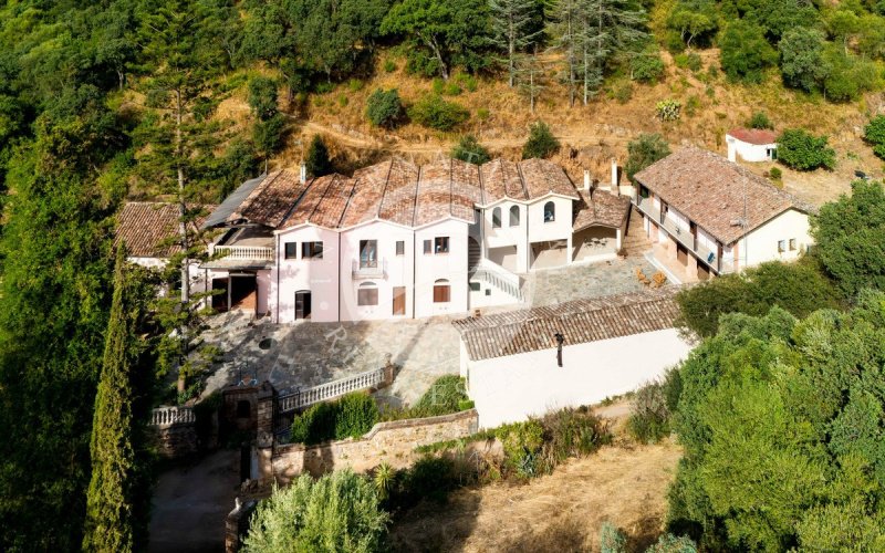 Hamlet in Iglesias