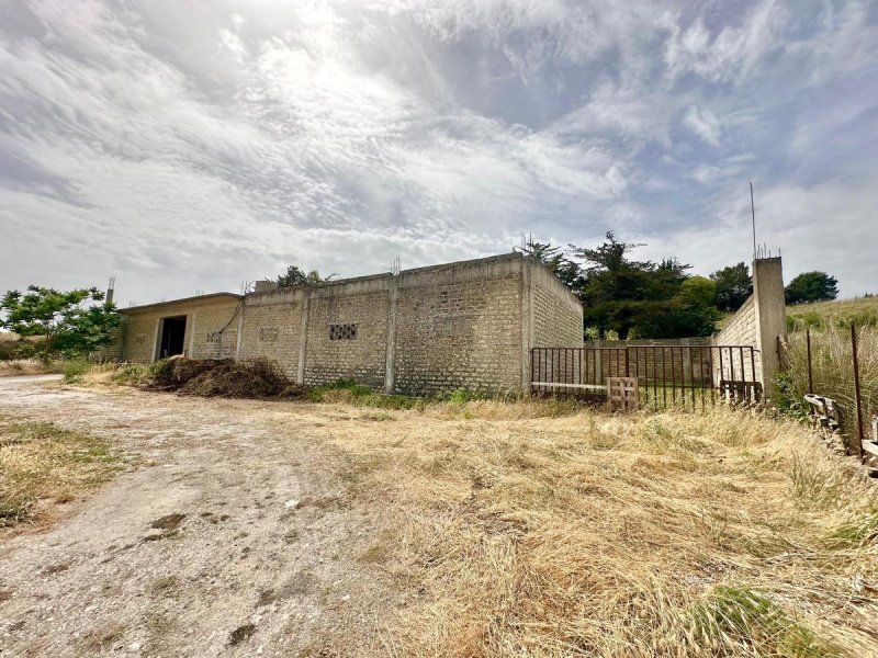 Farmhouse in Giuliana