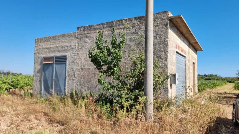 Terreno agricolo a Menfi