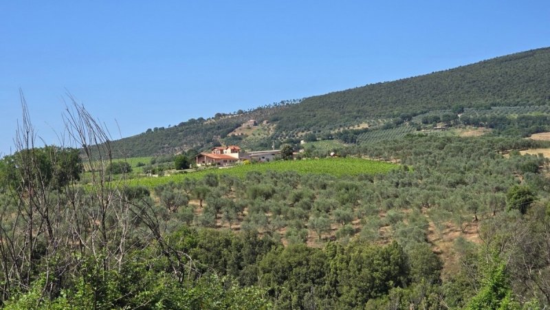 Klein huisje op het platteland in Montecchio