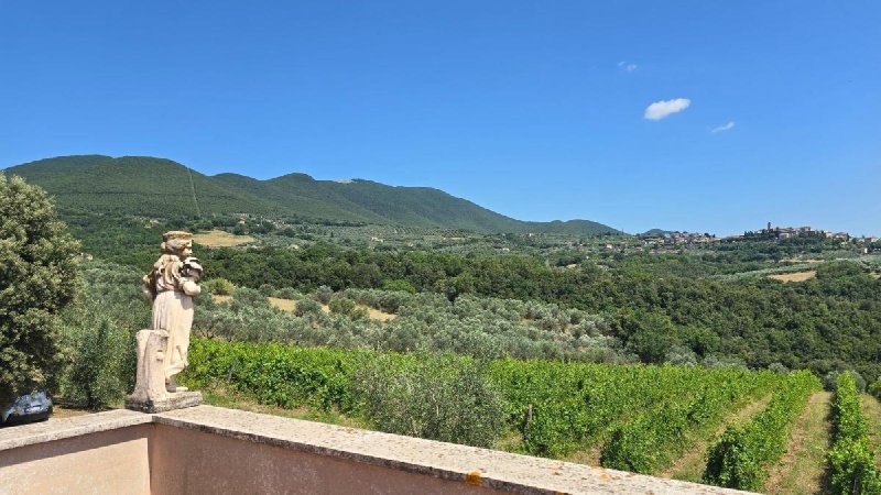 Farmhouse in Montecchio