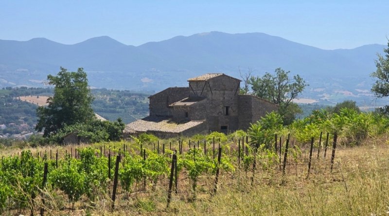 Ferme à Orvieto