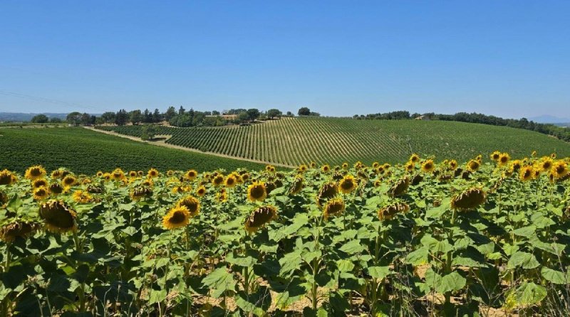 Ferme à Baschi