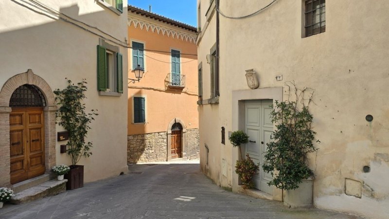 Крыша/земля в Тоди