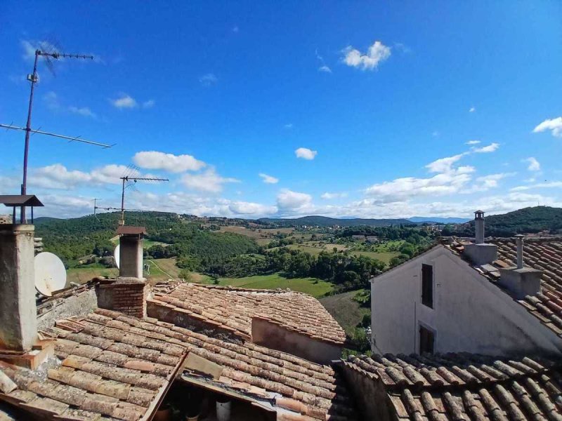 Teto/Chão em Amelia