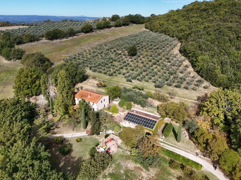 Ferme à Amelia