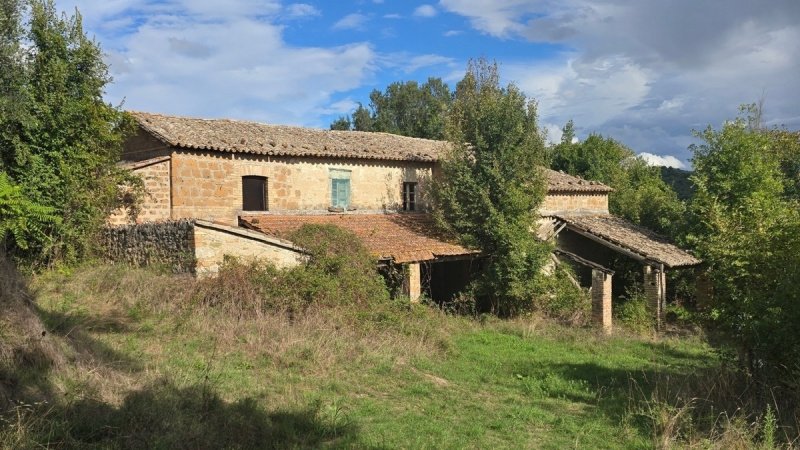 奥尔维耶托农舍