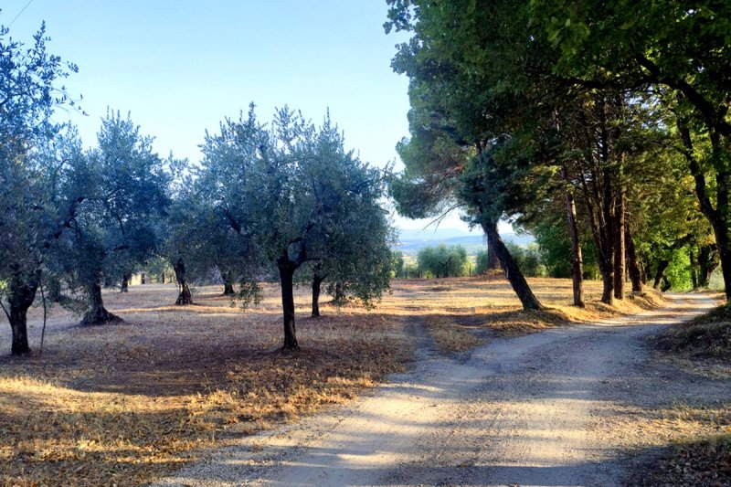 Отдельно стоящий дом в Баски