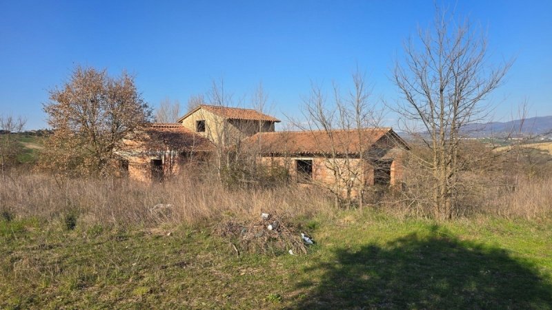 Lantställe i Todi