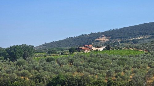 Woonboerderij in Montecchio