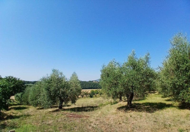 Klein huisje op het platteland in Montecastrilli