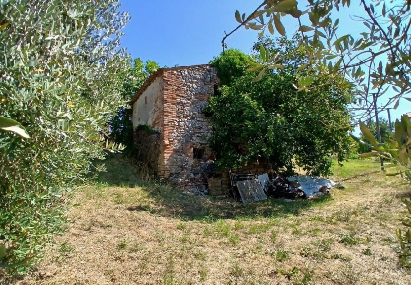 Klein huisje op het platteland in Montecastrilli