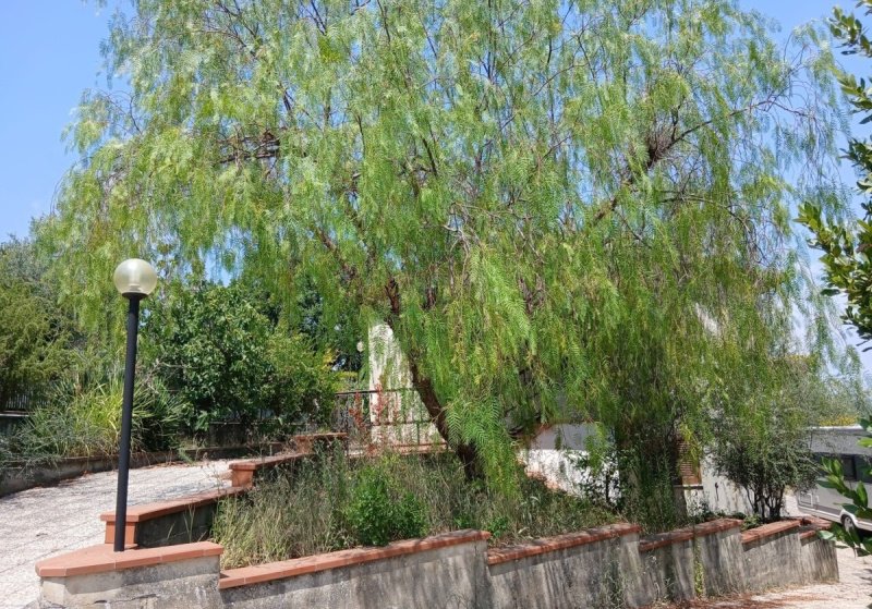Moradia em Amelia