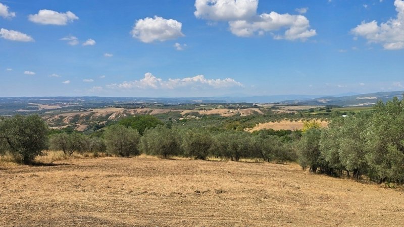 Doppelhaushälfte in Montecchio