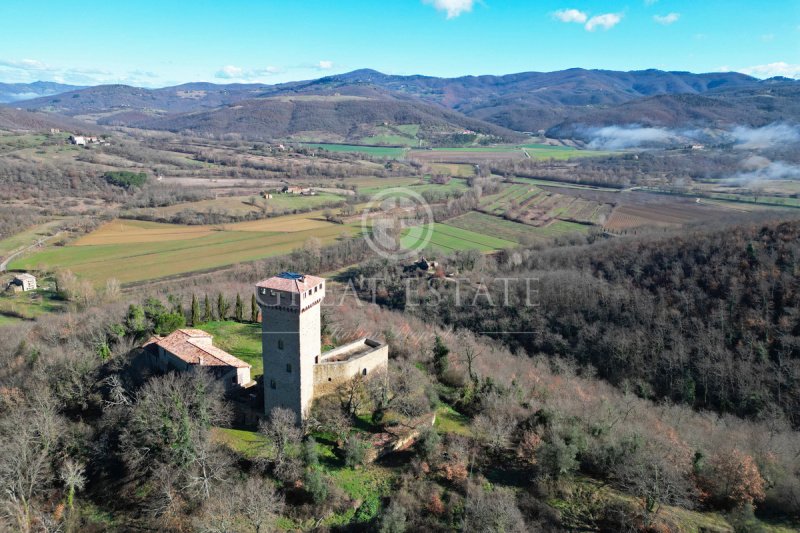 Slott i Passignano sul Trasimeno