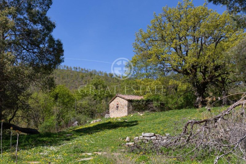 Klein huisje op het platteland in Montegabbione