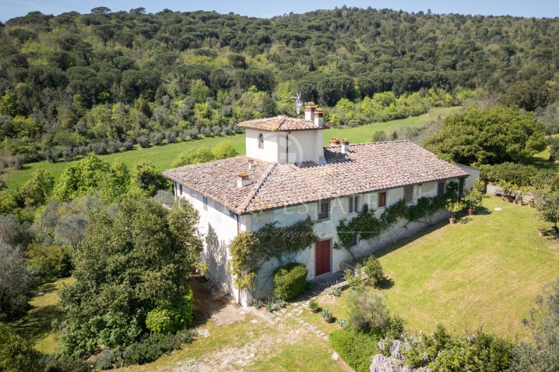 Lantställe i Rignano sull'Arno