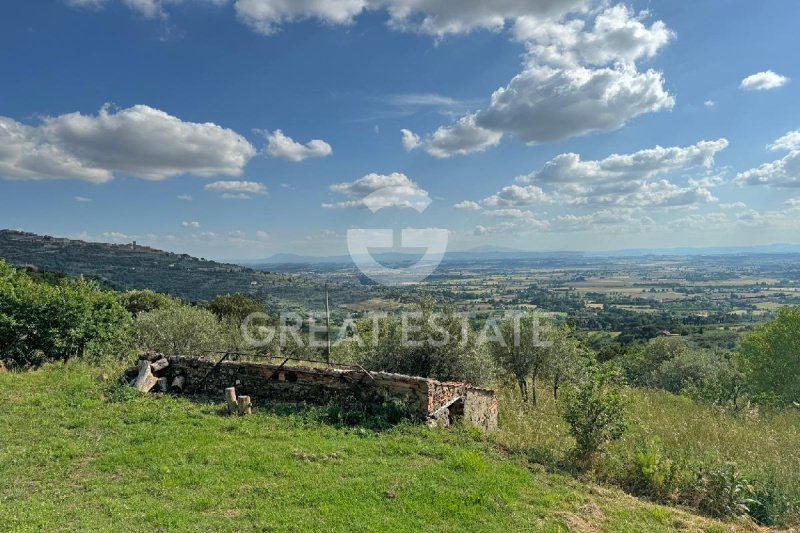 Lantställe i Cortona