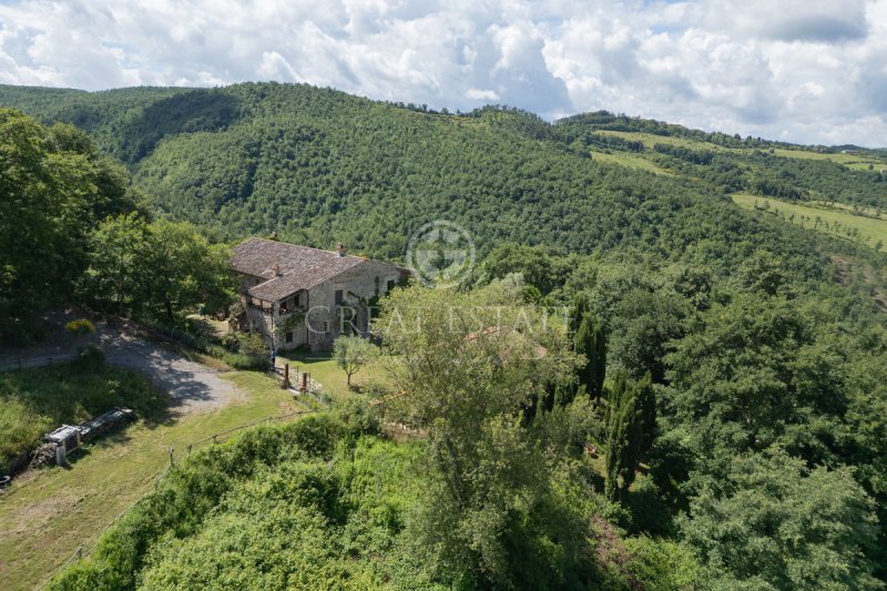 Cabaña en San Casciano dei Bagni