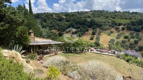 Farmhouse in Scansano