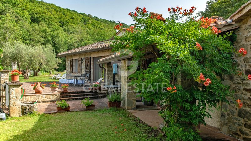 Farmhouse in Tuoro sul Trasimeno