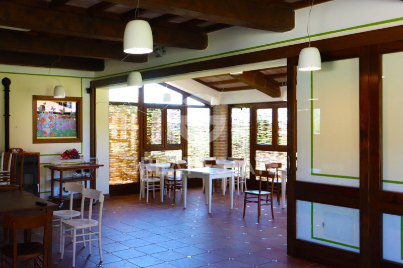 Lantställe i Castiglione del Lago