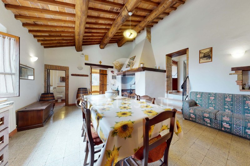 萨尔泰阿诺农舍