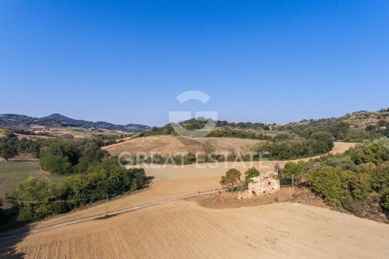 Lantställe i Montepulciano