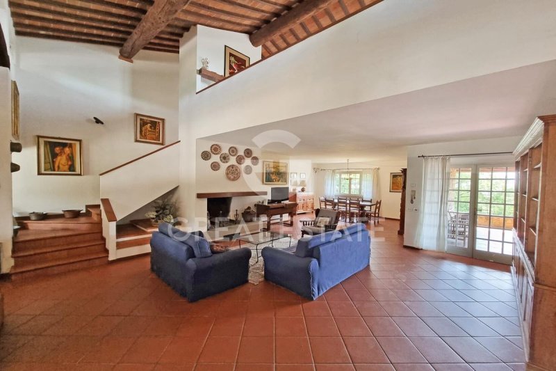 Lantställe i Monte San Savino