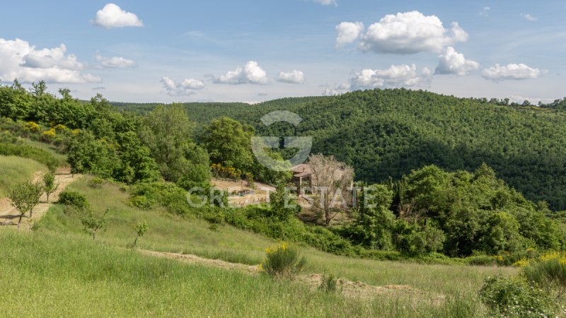 Lantställe i San Casciano dei Bagni