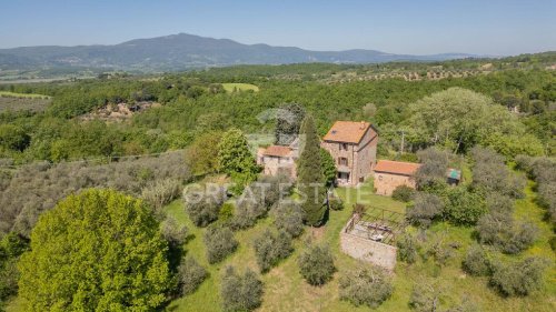 Ferme à Città della Pieve