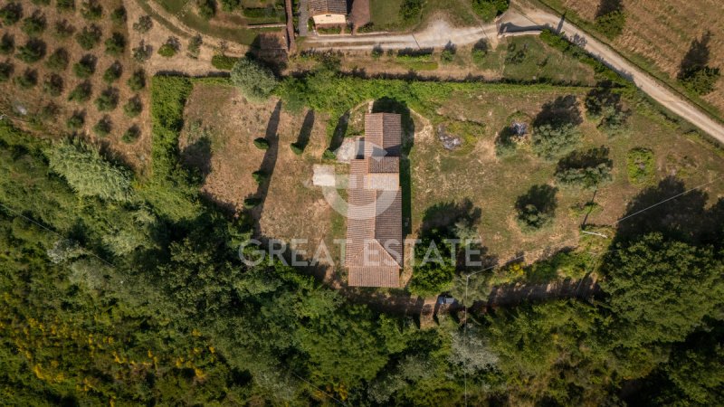 蒙特斯佩尔托利农舍