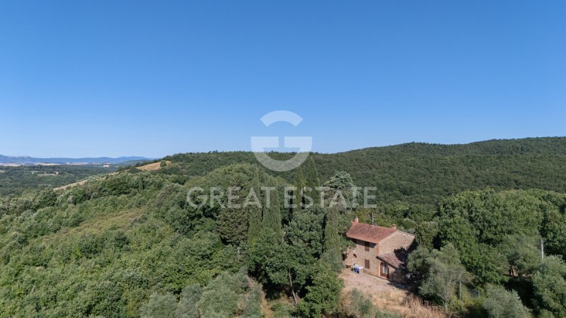 Lantställe i Torrita di Siena