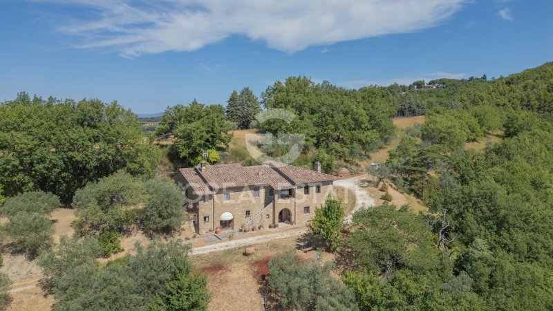 Lantställe i Assisi