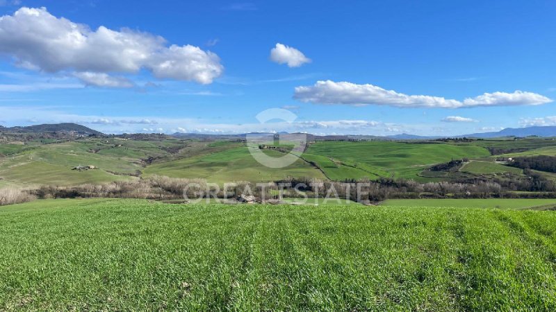 Farmhouse in Montalcino